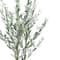 5.5ft. Potted Green Olive Tree by Ashland®